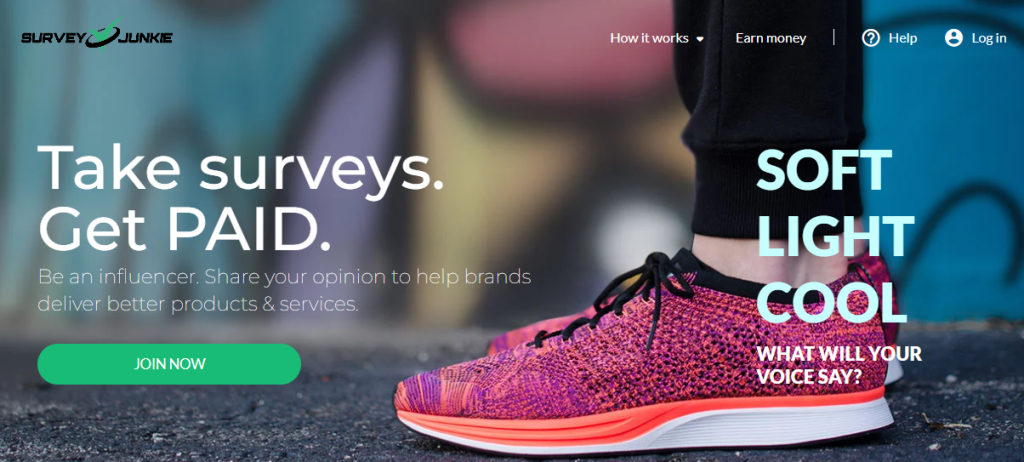 Survey Junkie website