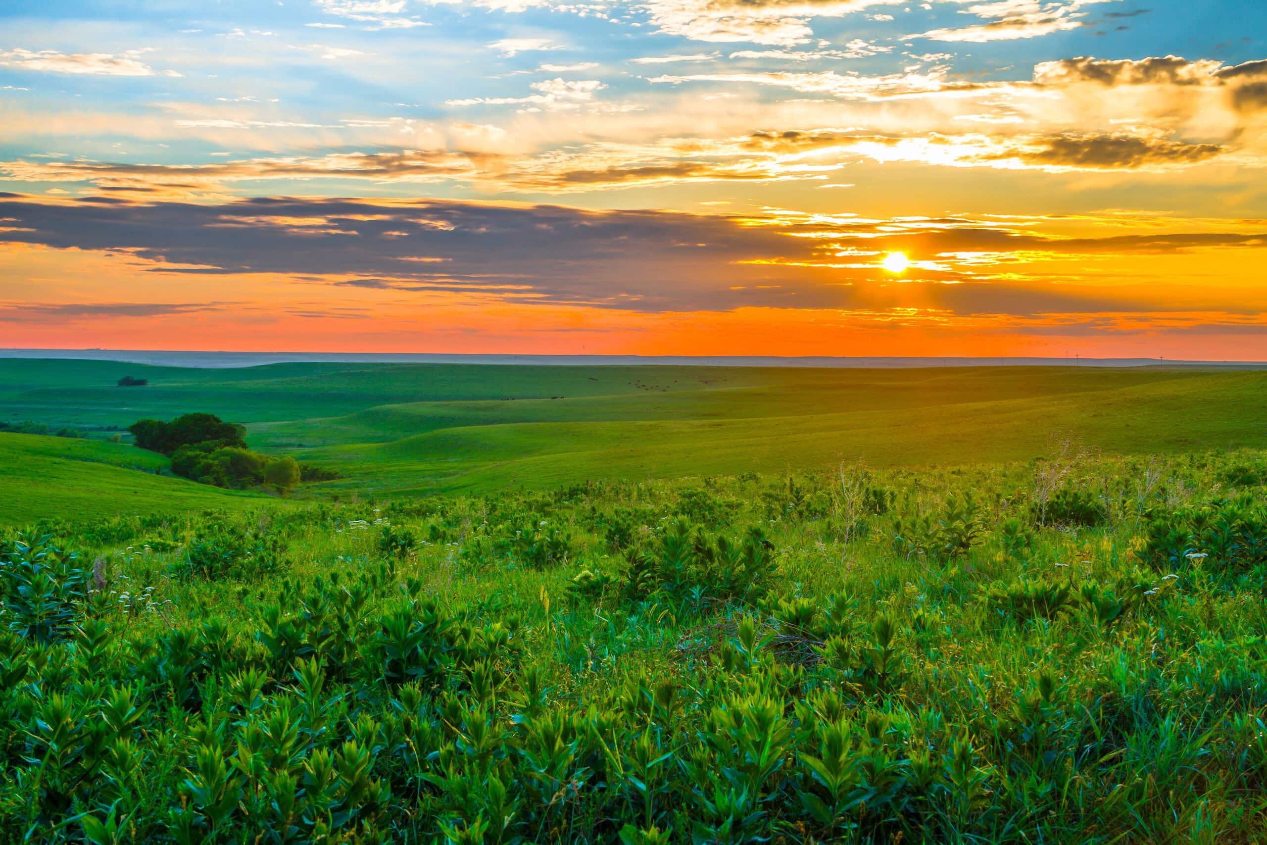 17 Best Rural Side Hustles To Make Extra Money