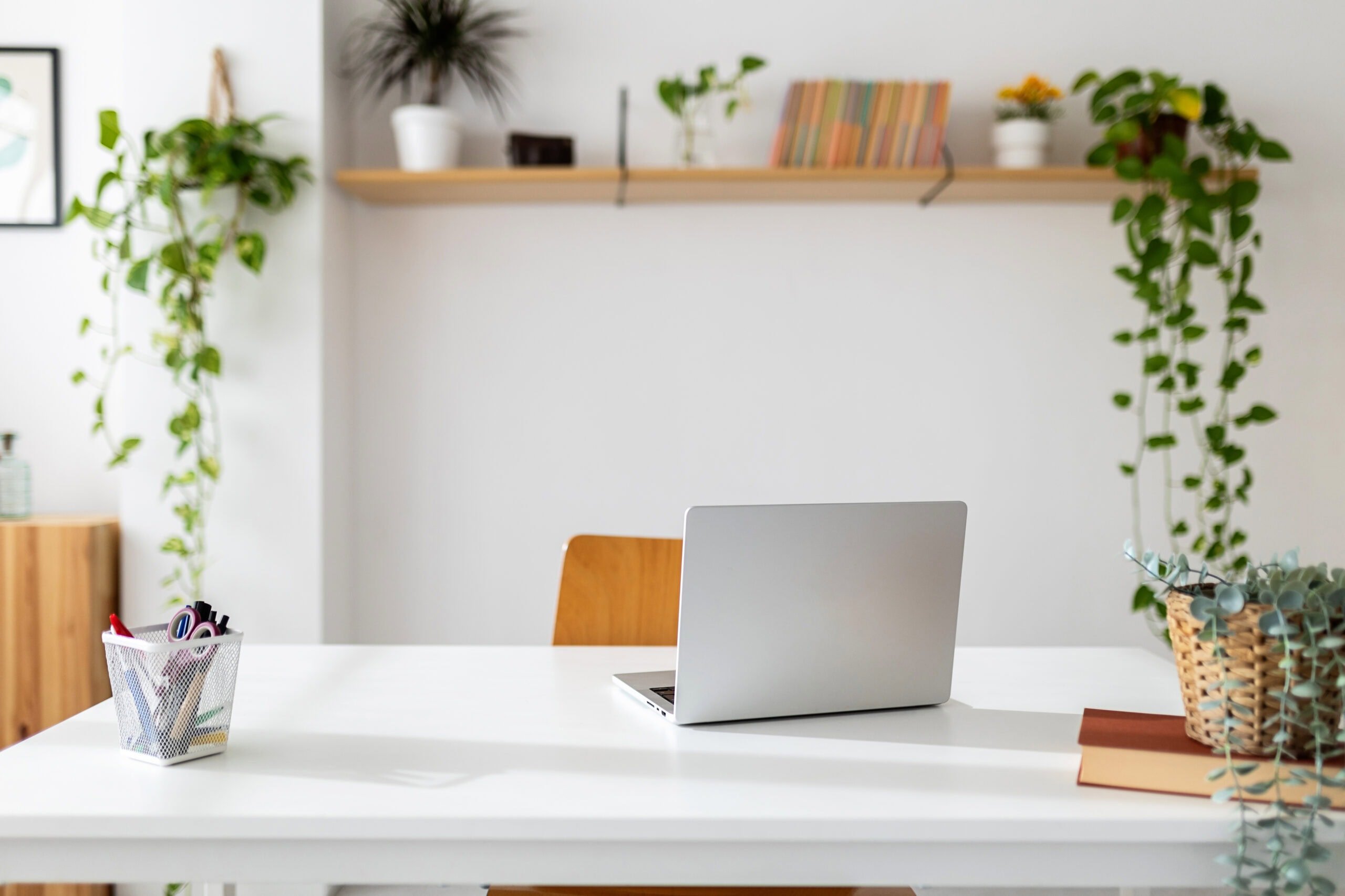 How I Use Pinterest To Get Blog Traffic and Make a Full-Time Income