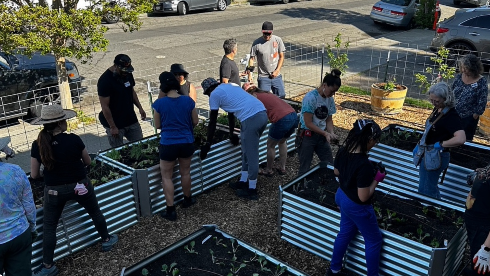 Growing a Beloved Community, One Harvest at a Time