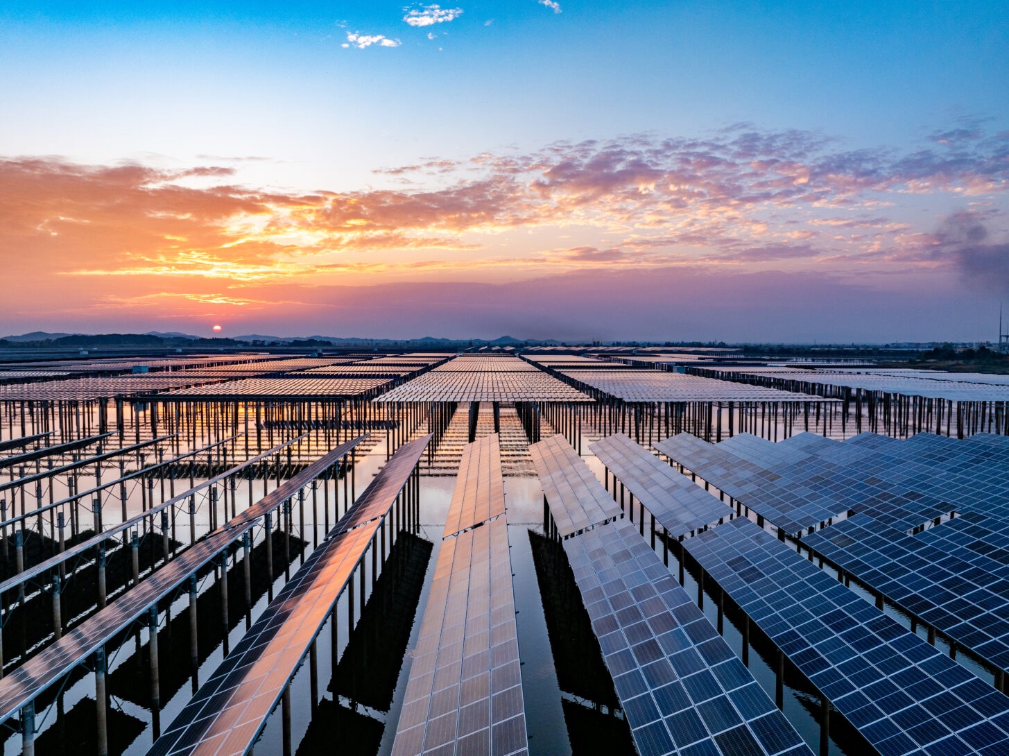 What’s Next for Sustainability? Moving Forward in a Time of Friction