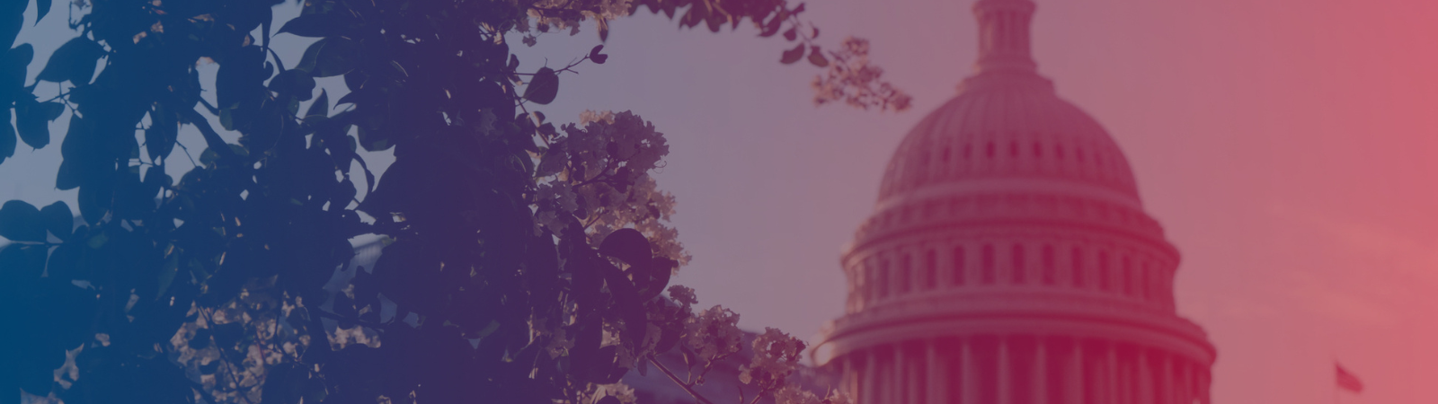 Ownership Across America: What Iowa and New Jersey Are Teaching Other States